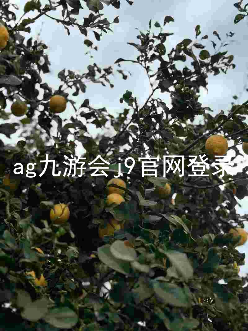 ag九游会j9官网登录